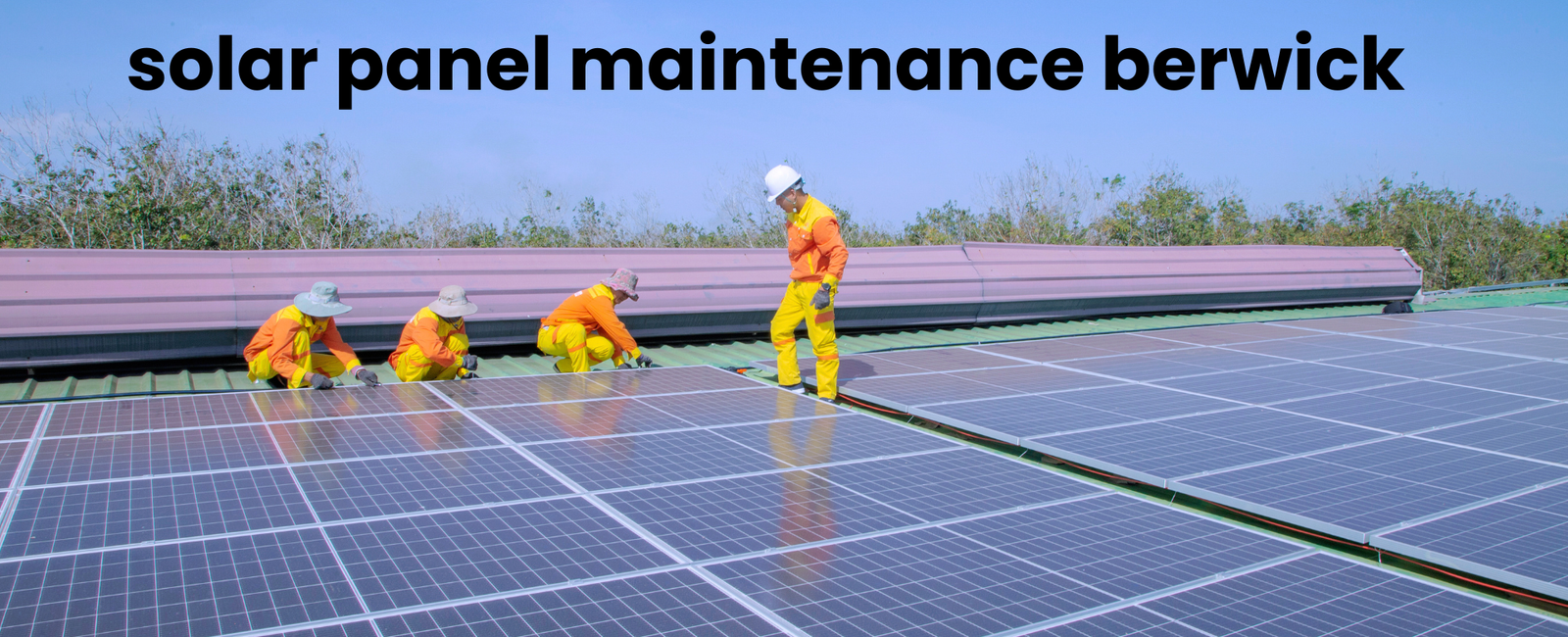 solar panel maintenance berwick